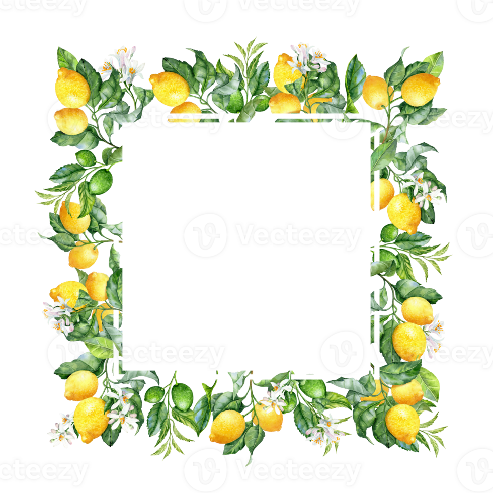Square Banner with Lush lemon's branches and its bloom in aquarelle technique png