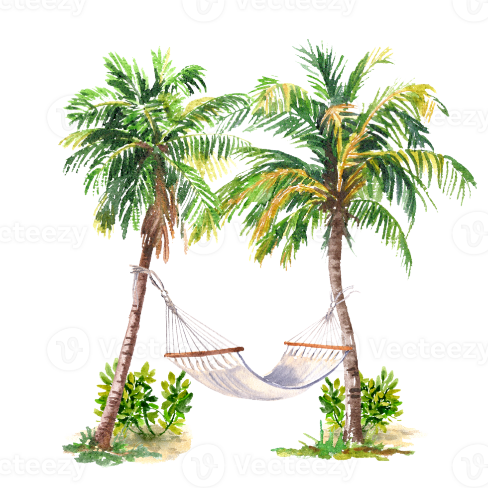 watercolor image two palm and Hammock on it isolated from background png