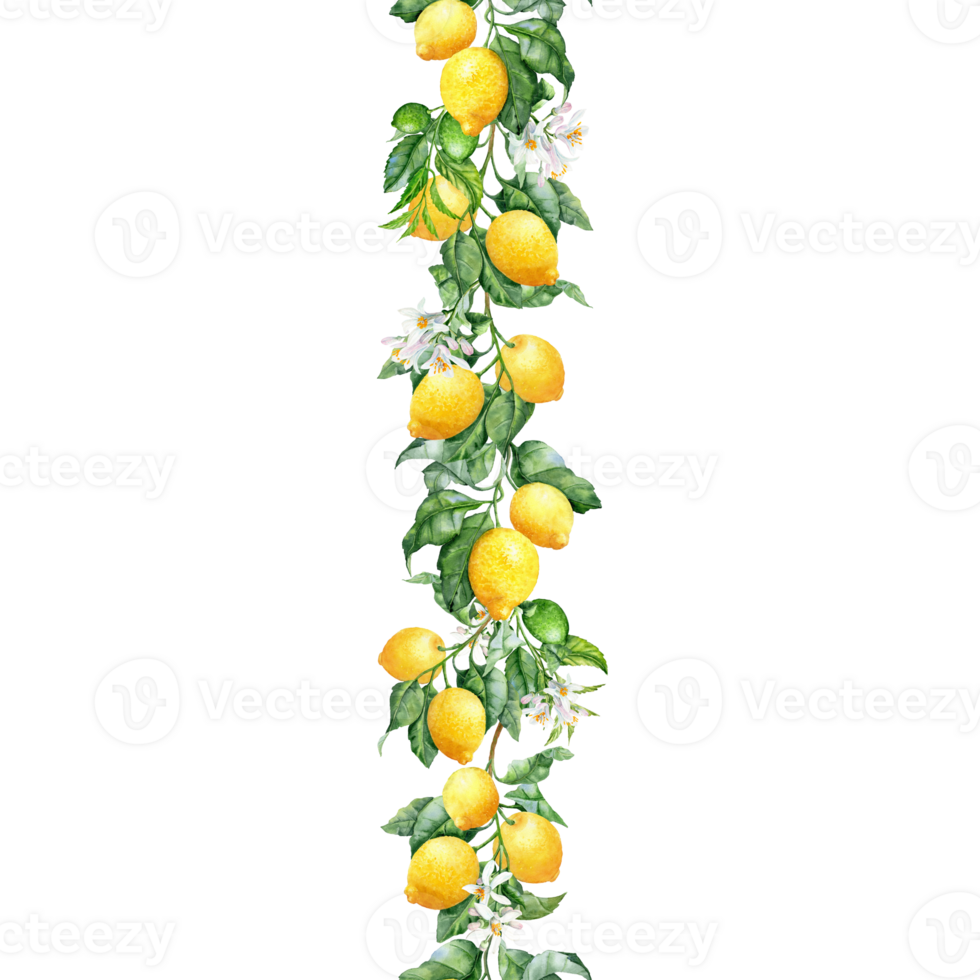 Vertical seamless Border with branches of lemon with Yellow and green fruits png