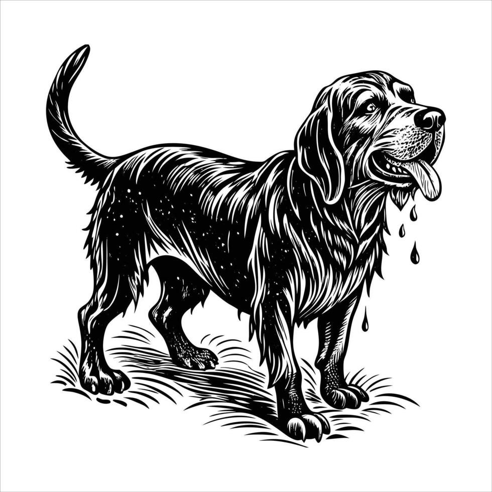 dog shaking off water after vector
