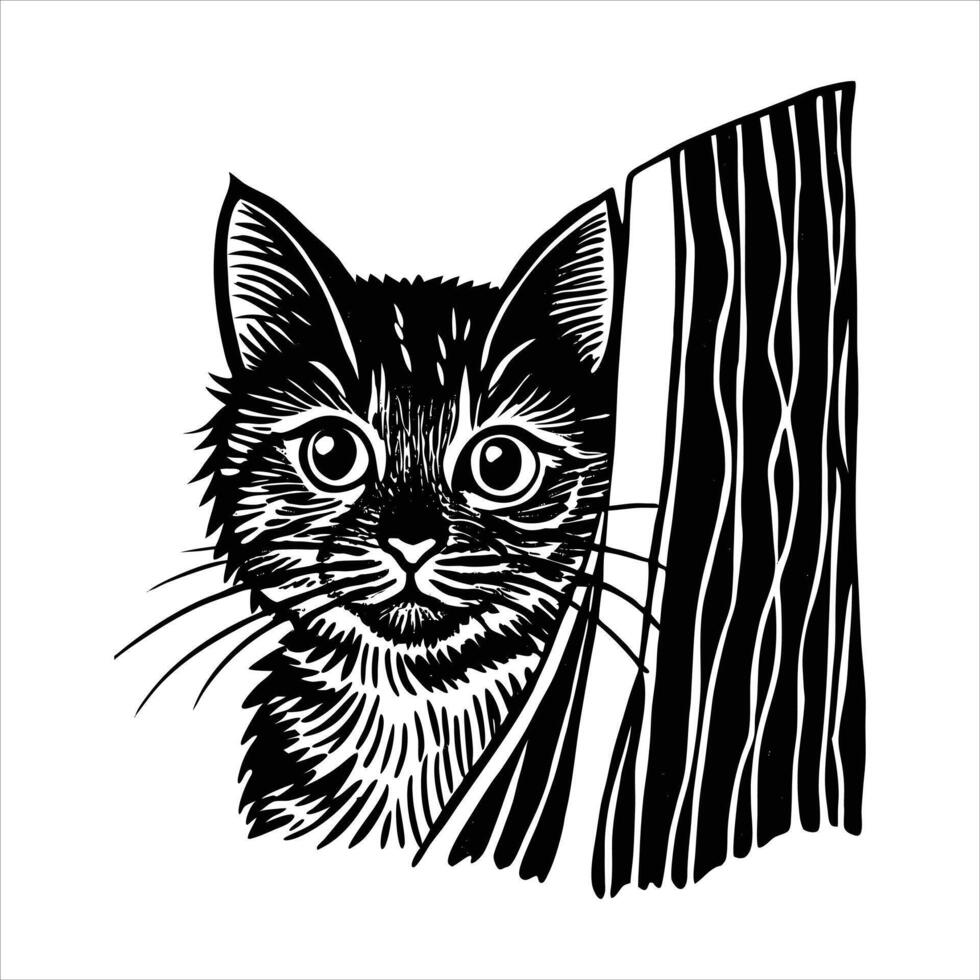 Cat peeking out from behind vector