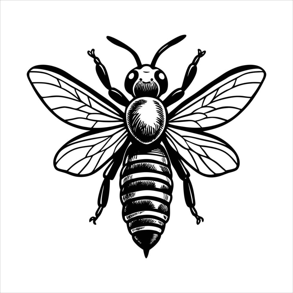 A closeup of a bee in flight vector