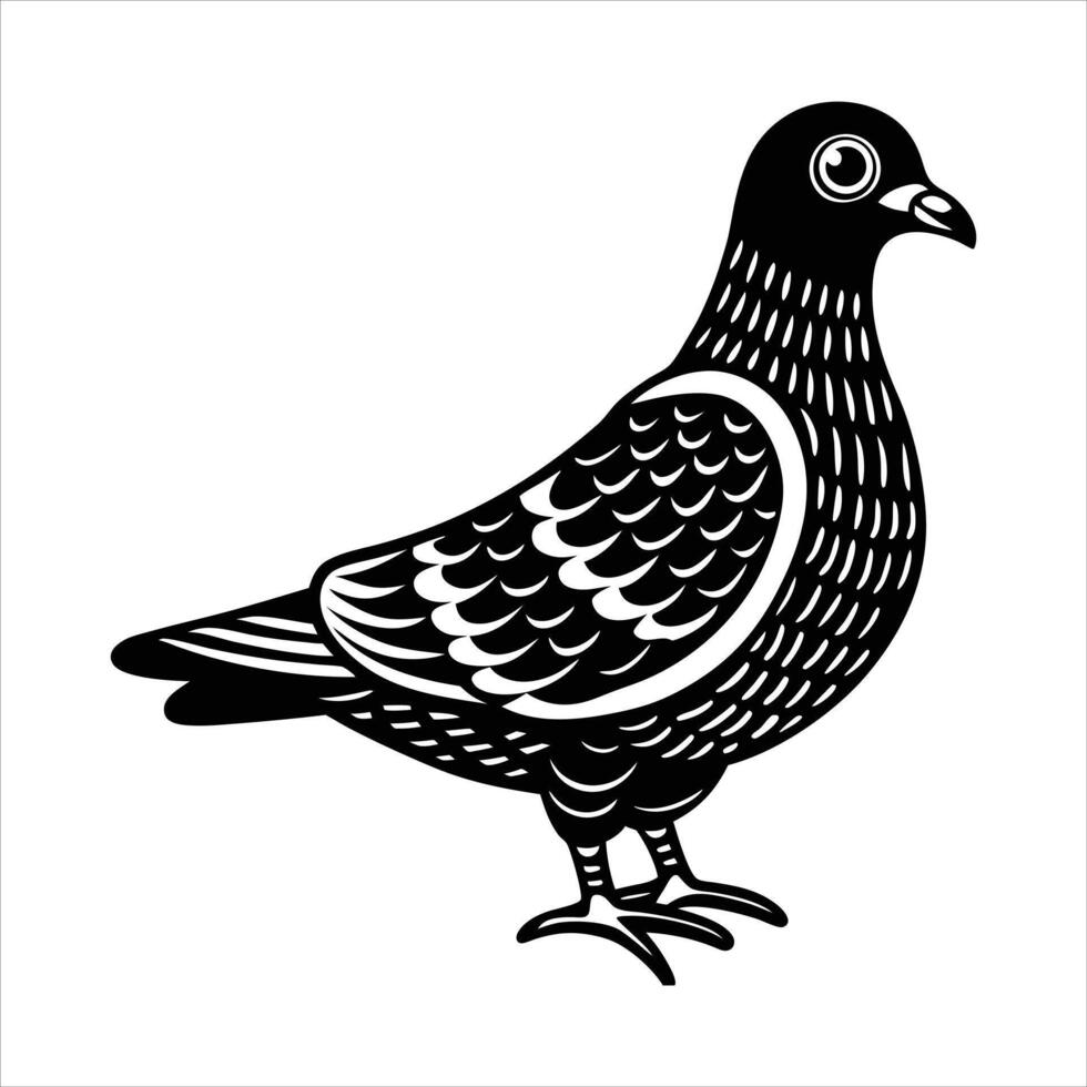 Funny Pigeon Vectors
