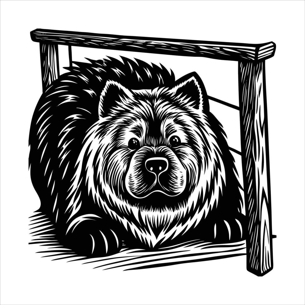 Chow Chow Breed vector