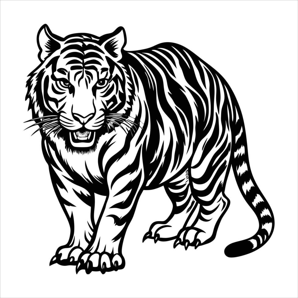 A Crouching Tiger Ready vector