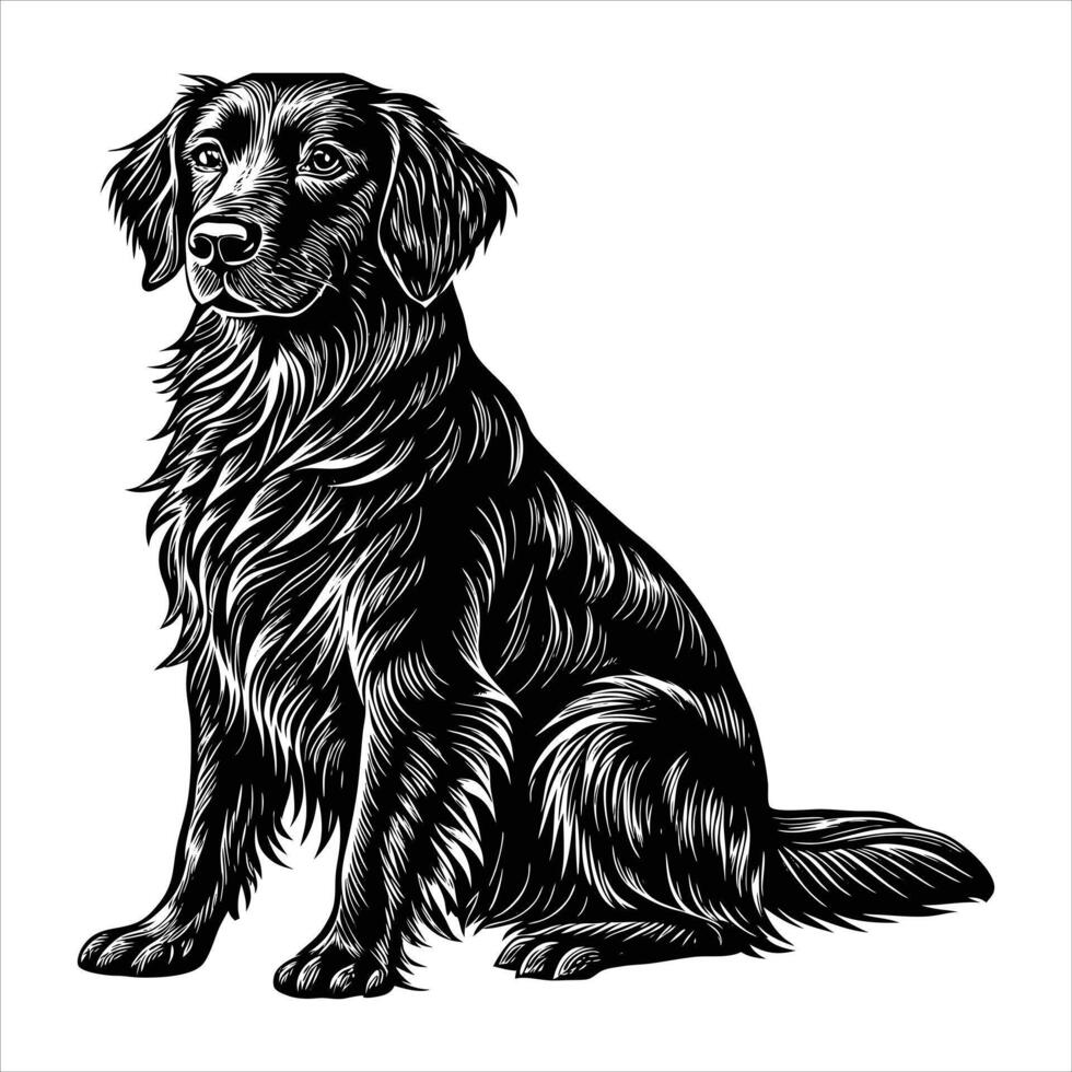 Flat Coated Retriever Surprised vector