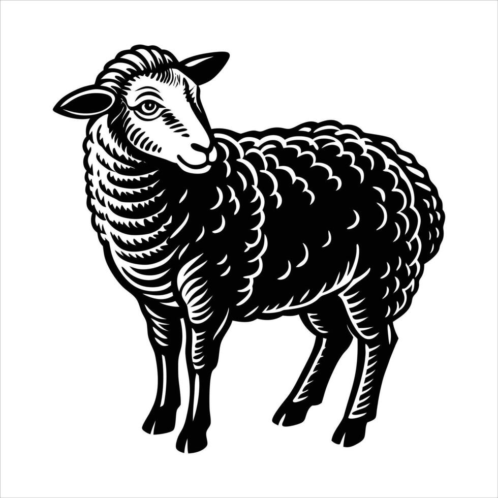 Juvenile bighorn sheep vector