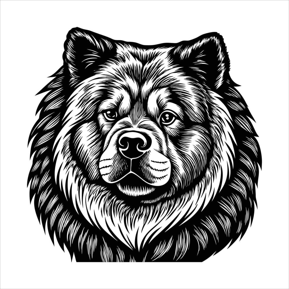 Chow Chow Head vector