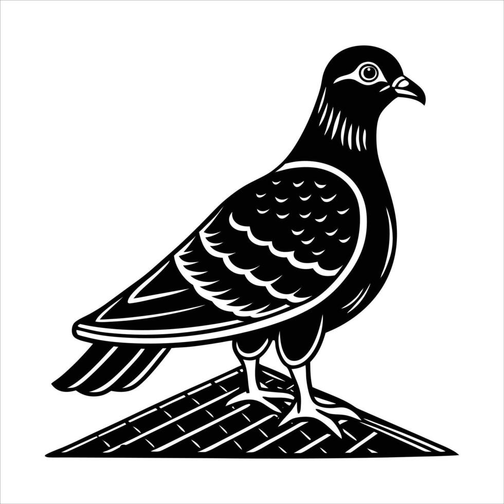 Pigeons On Rooftop vector