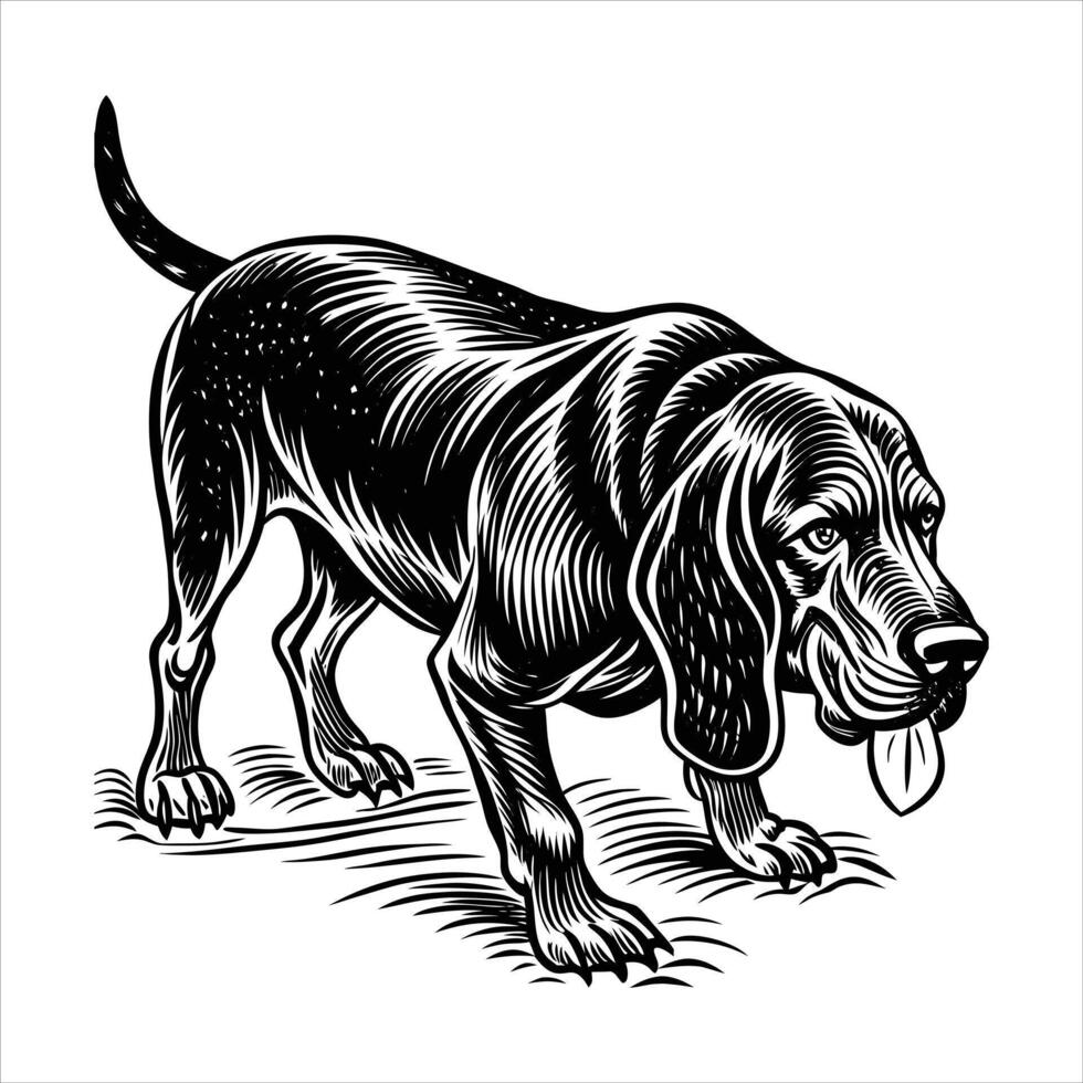 Bloodhound Nose Stock vector