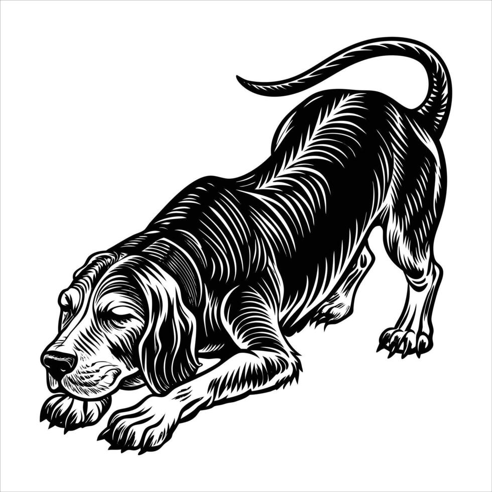 Basset Hound Dog Sketch vector