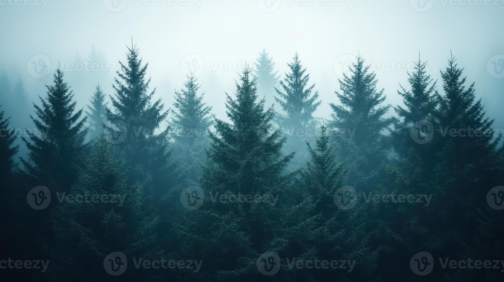 Misty Evergreens A Forest in the Shroud Natures Serenity Unveiled in Fog photo