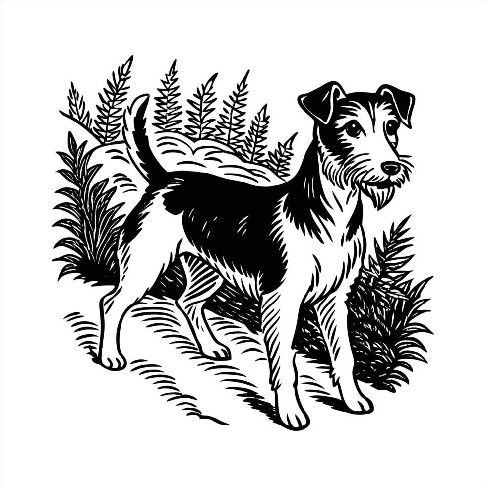 Fox Terrier Confident vector