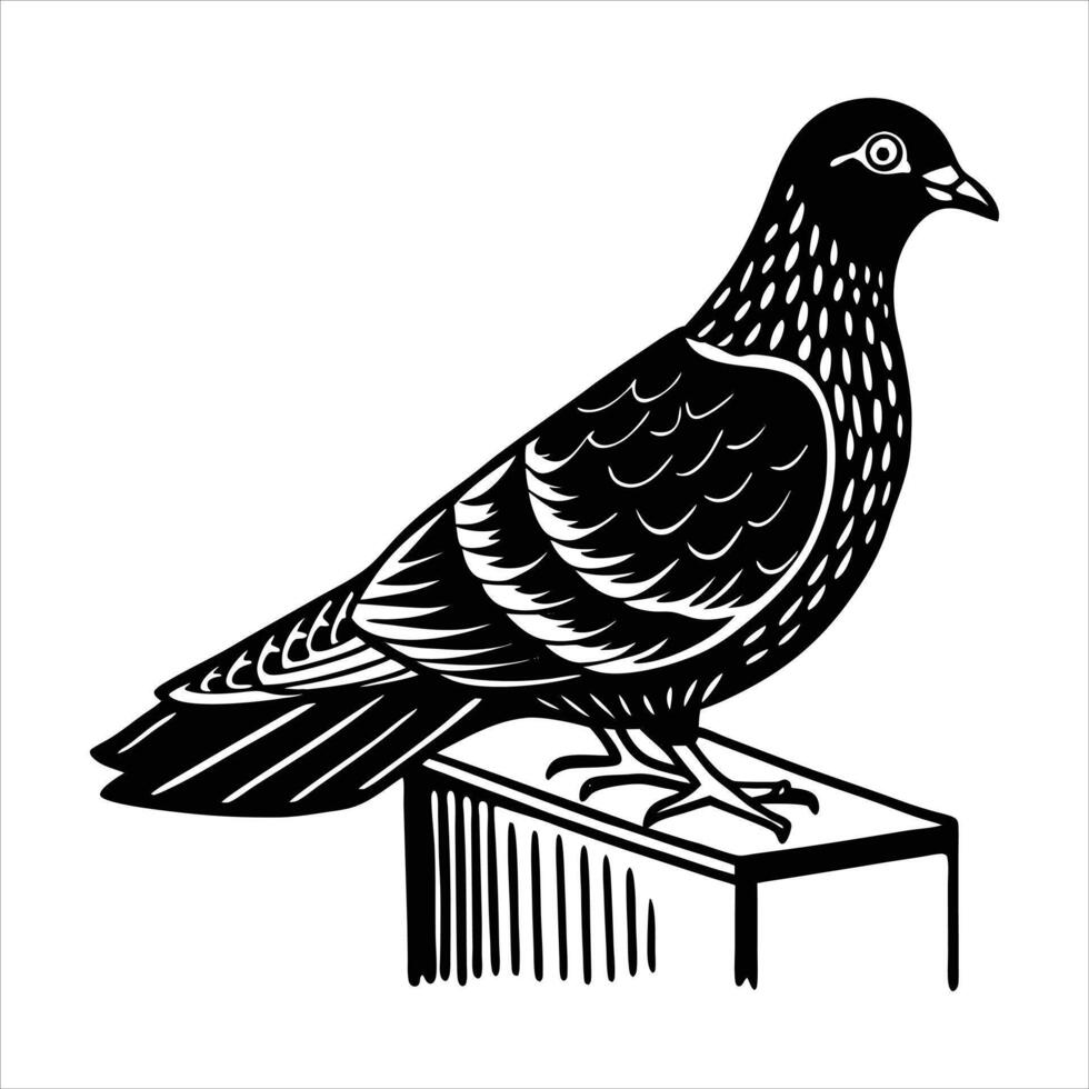 Vertical shot of a pigeon vector