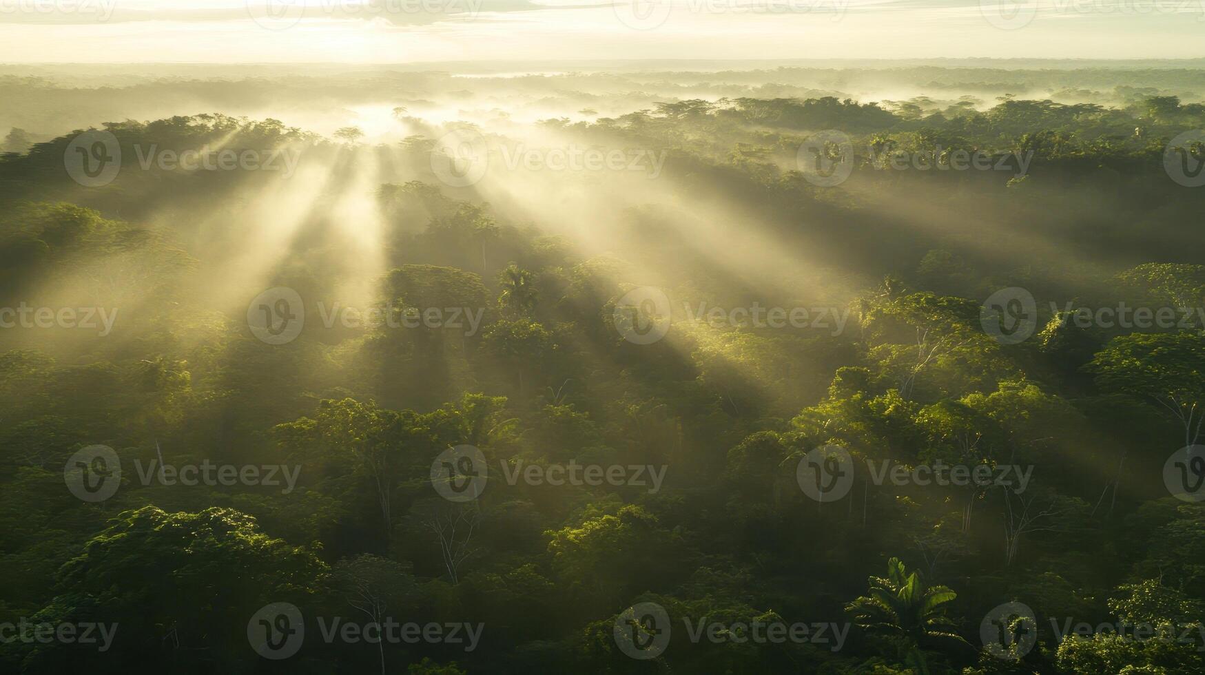 Sunbeams Through Canopy Ethereal Light Filtering Down on Lush Rainforest Trees below Creating a Mystical Atmosphere photo