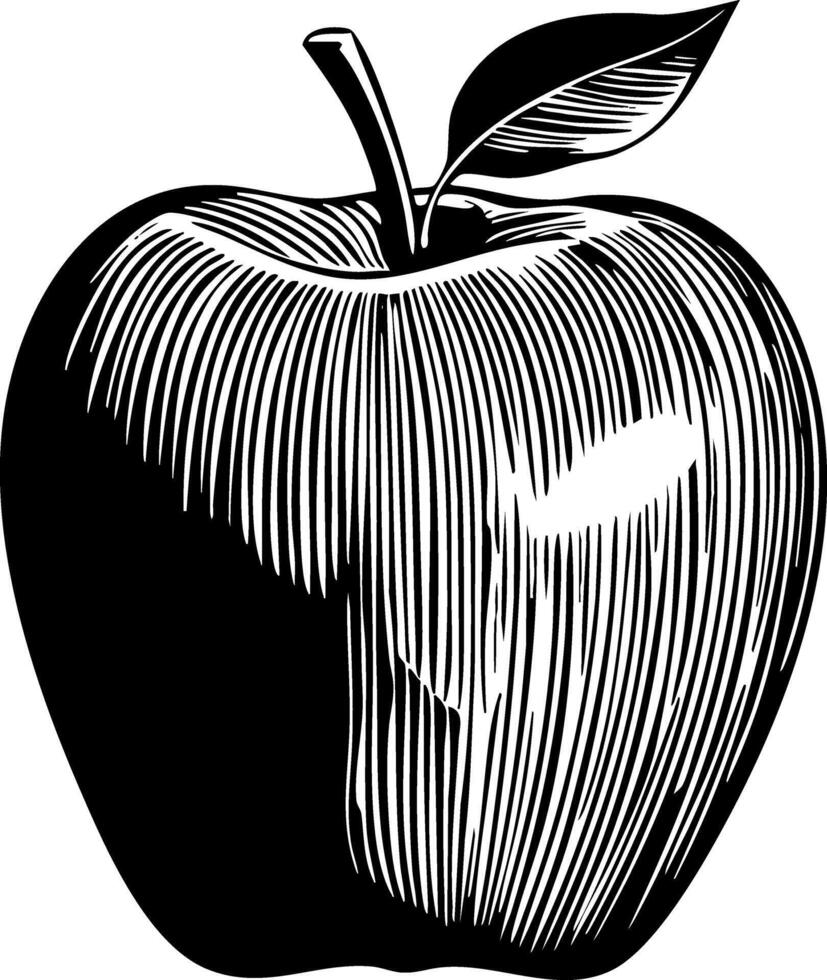 A black and white woodcut-style illustration of an apple with a stem and a single leaf, depicting textured lines to indicate its round form and shading. vector