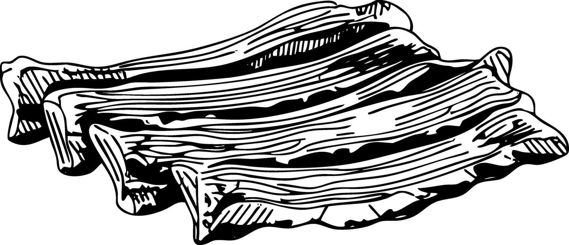 A black and white woodcut-style illustration of several strips of bacon or pork belly, showing textured lines to indicate fat and muscle. vector