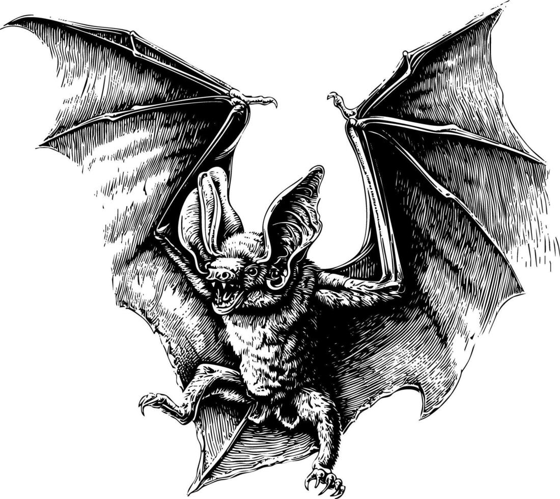 A black and white highly detailed illustration of a bat in mid-flight with its wings spread, depicted in a realistic woodcut or engraving style vector