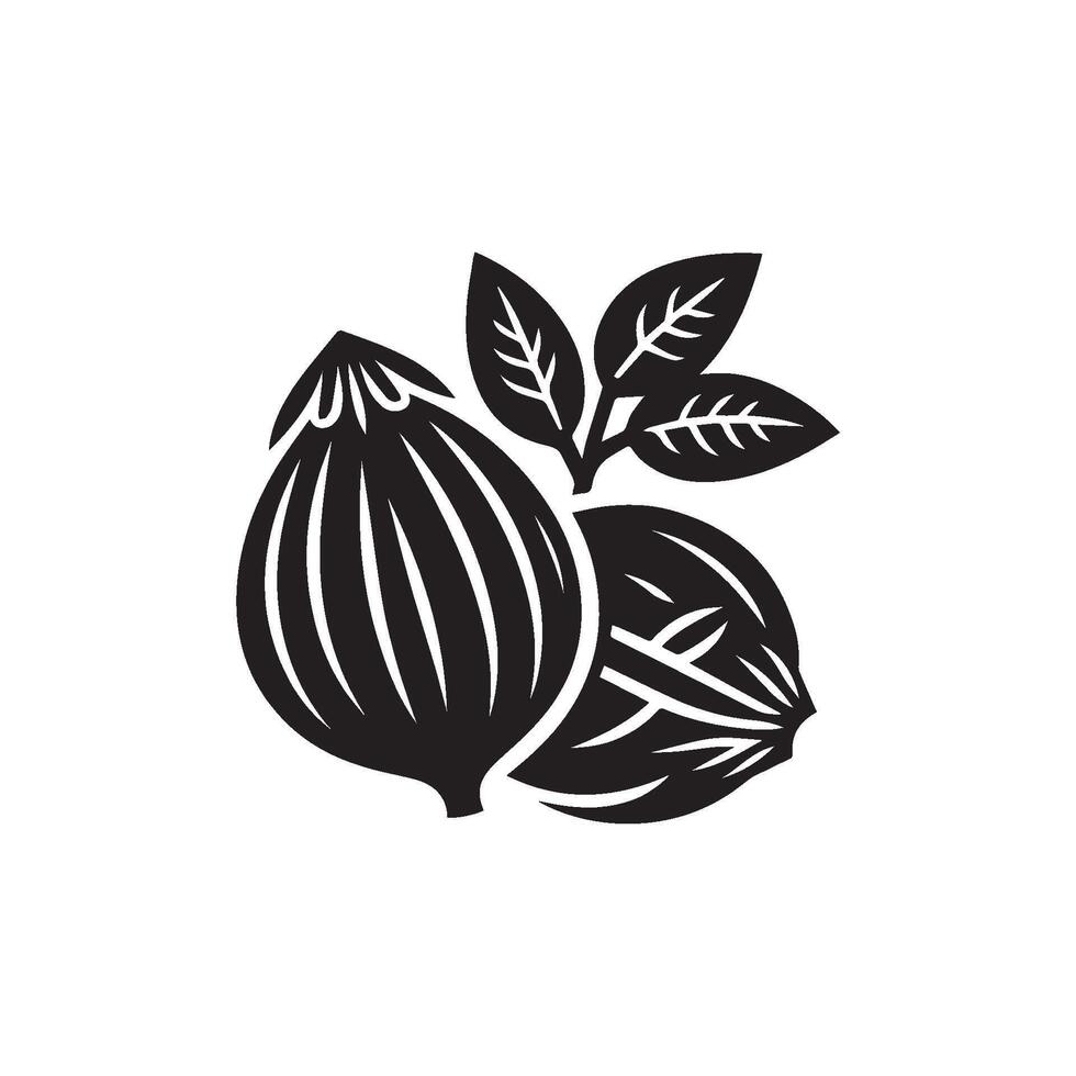 Fresh nutmeg silhouette on white background. Nutmeg with leaf icon vector