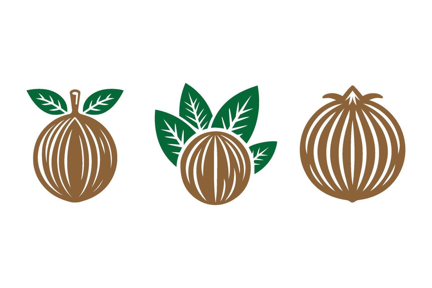 Minimalist fresh nutmeg logo icon on white background. Fresh nutmegs with leaf icon. vector