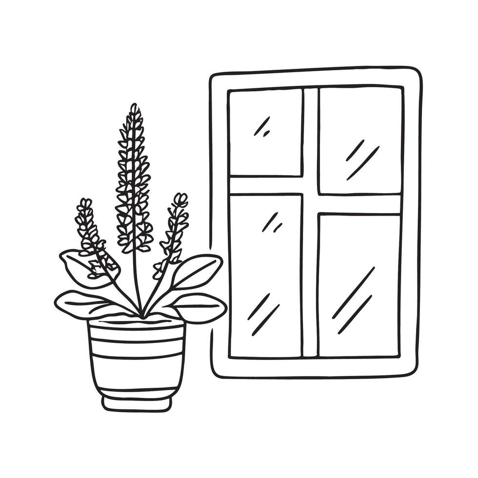 A tulsi plant next to a window frame vector