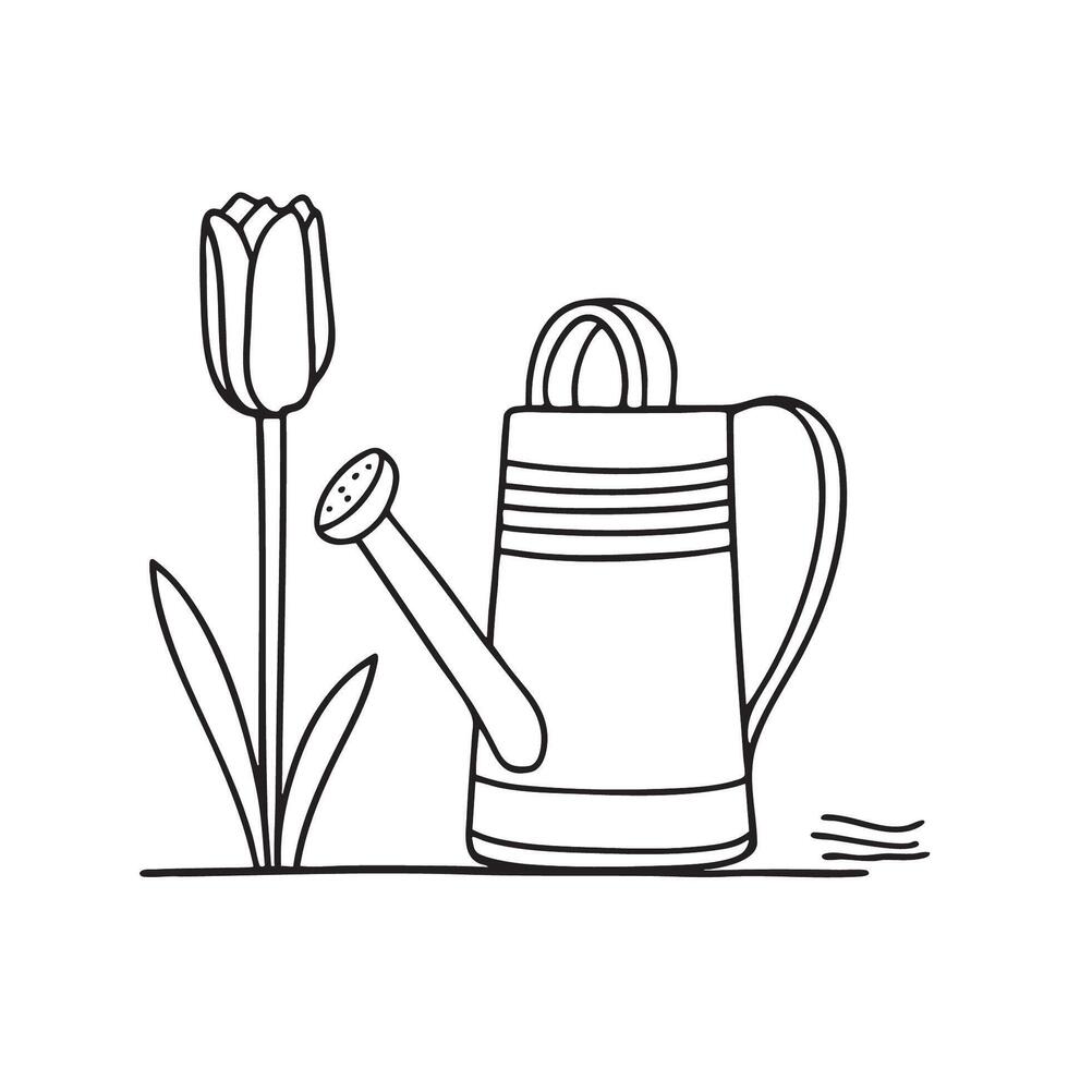 A tulip behind a watering can vector