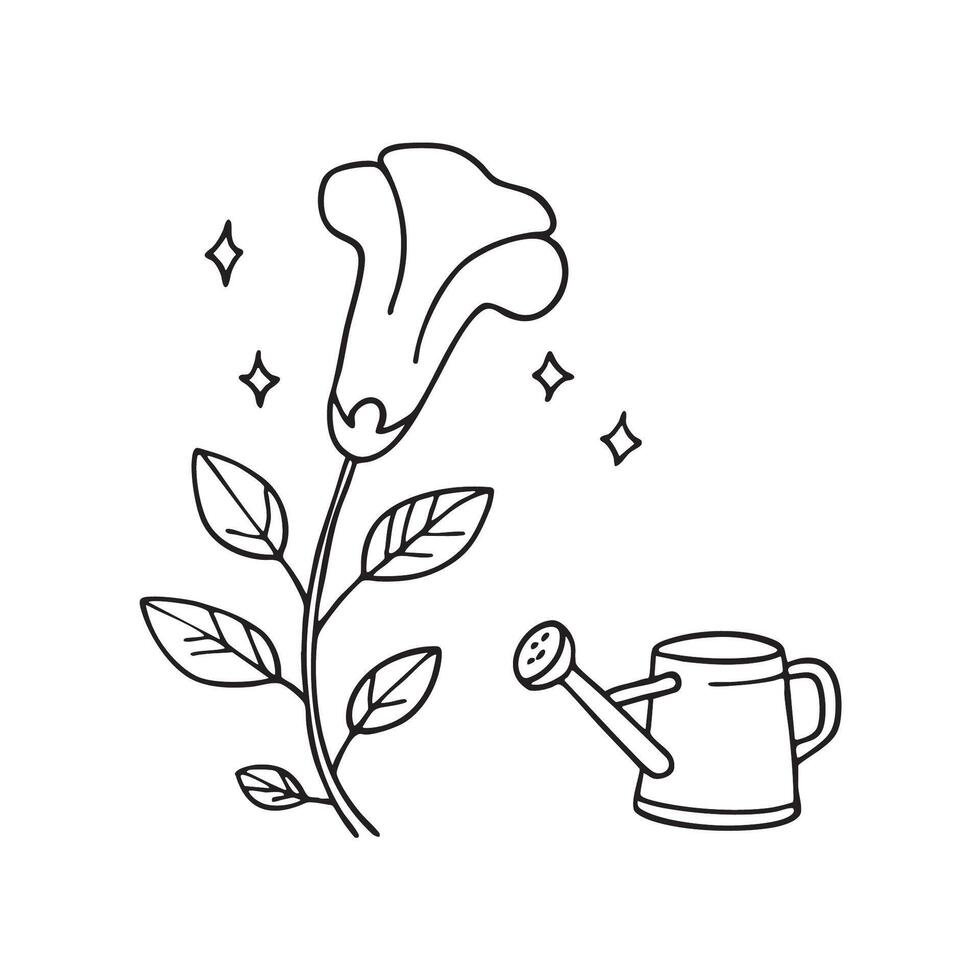 A trumpet vine close to a watering can vector