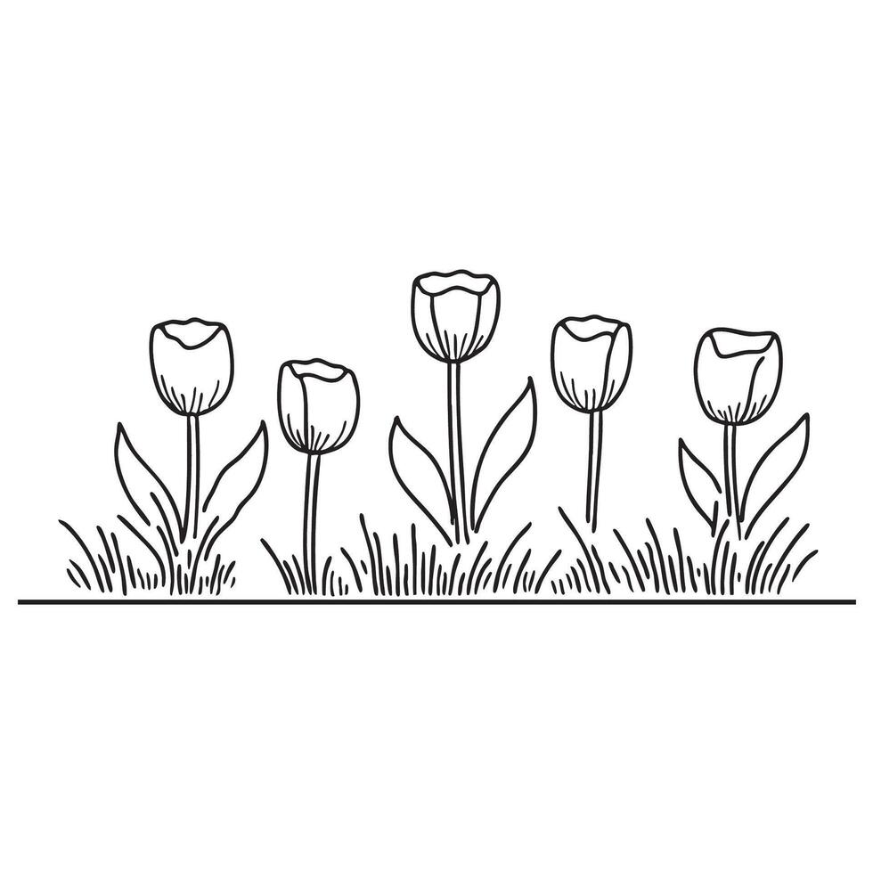 Tulips placed next to trimmed grass vector