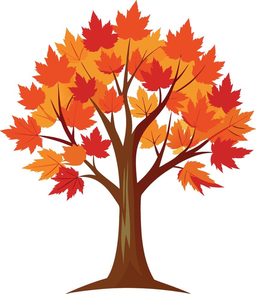 Maple Tree with Fall Foliage. High Quality Illustration vector