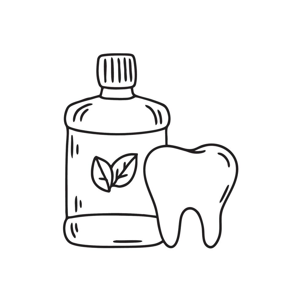 A tooth beside bottle of mouthwash labelled mint leaf vector