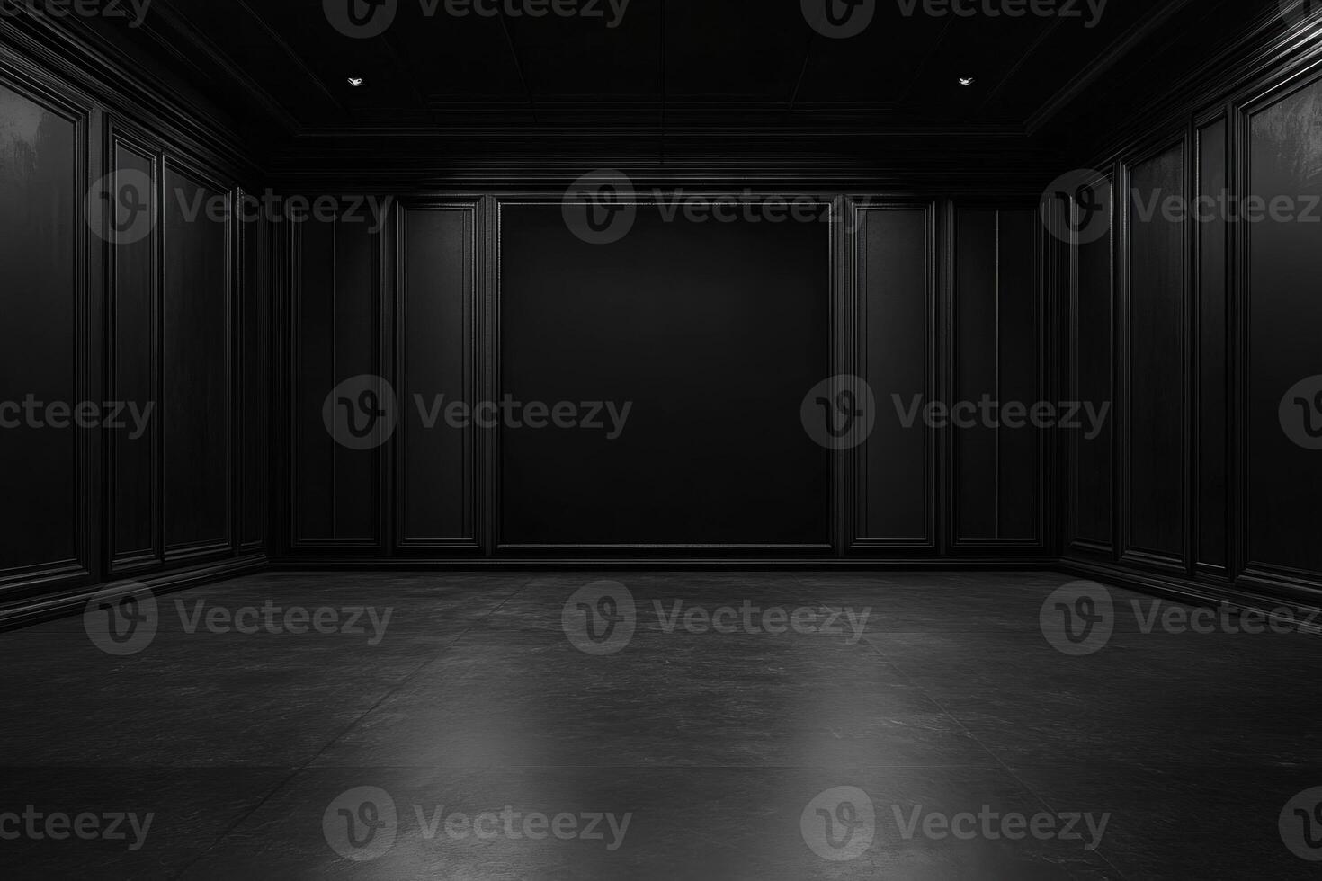 an empty room with black walls and a black floor photo