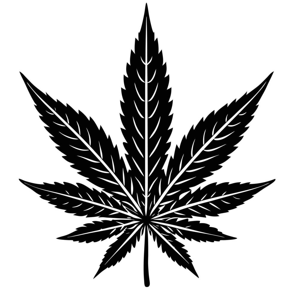 illustration of a simple black and white cannabis leaf design on a white background vector