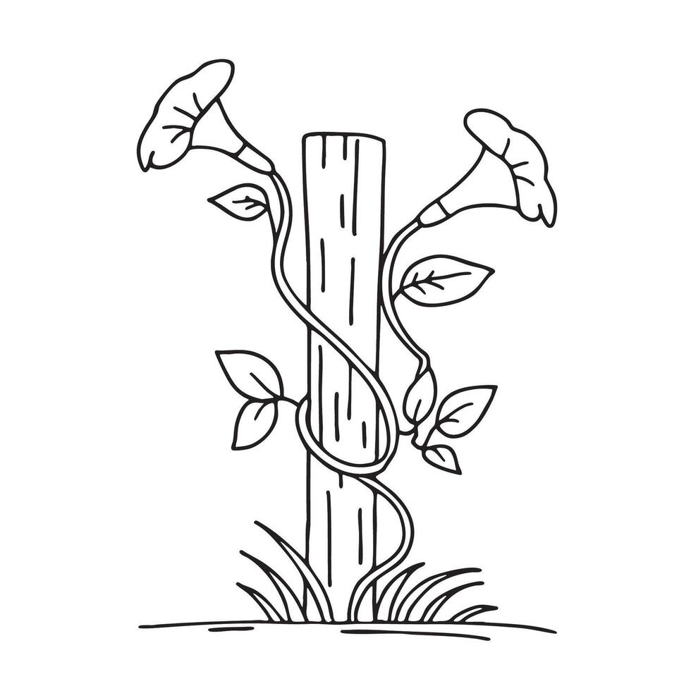 A trumpet vine twisting around a fence post vector