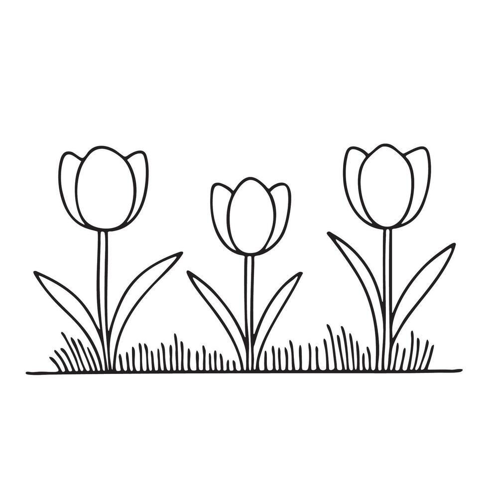 Tulips standing near trimmed grass vector