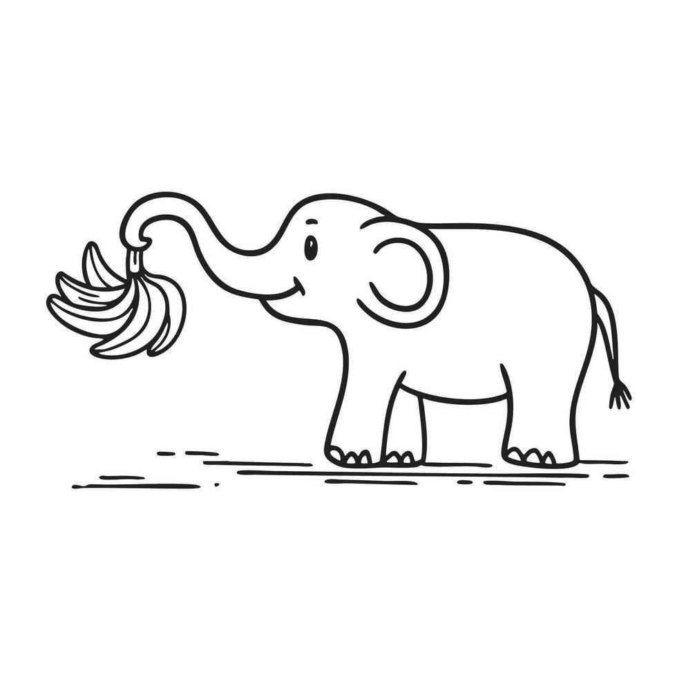 An elephant trunk grab a bunch banana vector