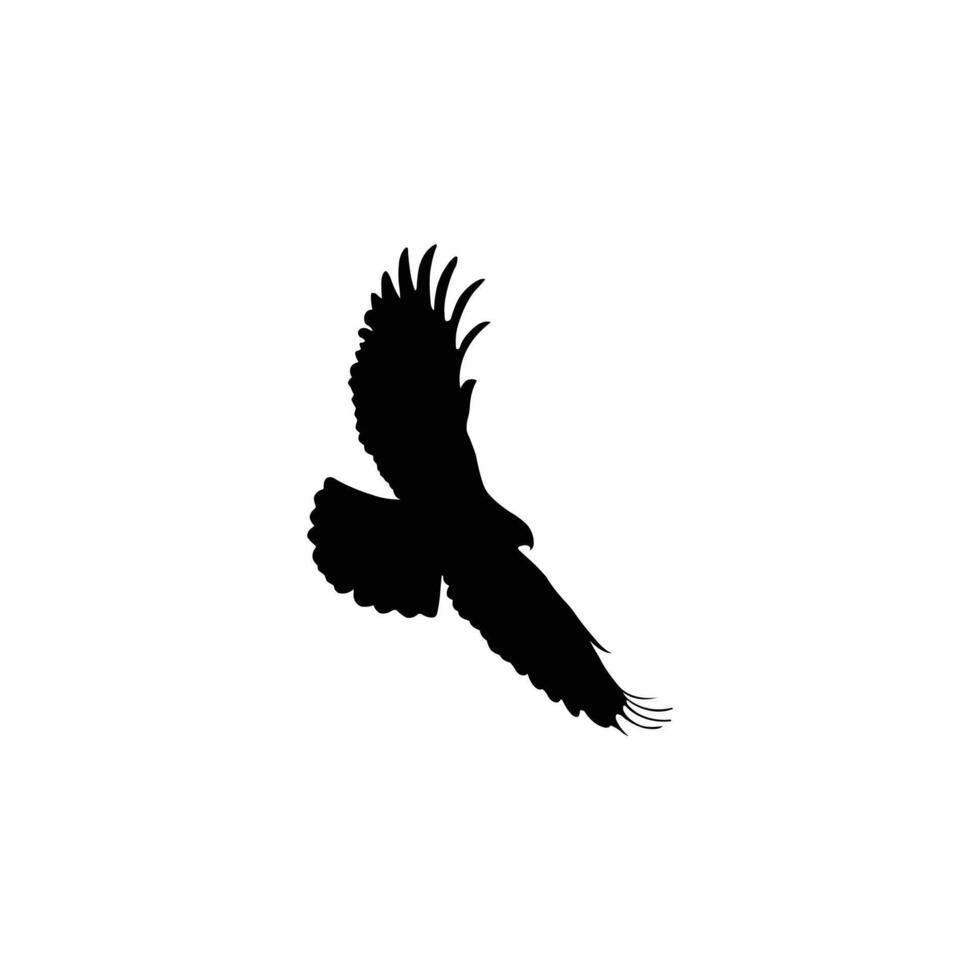 Eagle in Flight with Spread Wings Silhouette vector