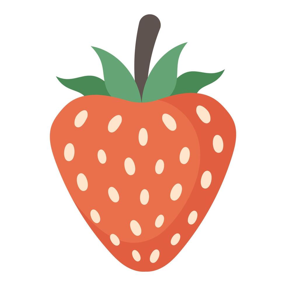 Strawberries on white background, hand drawn illustration on white background vector