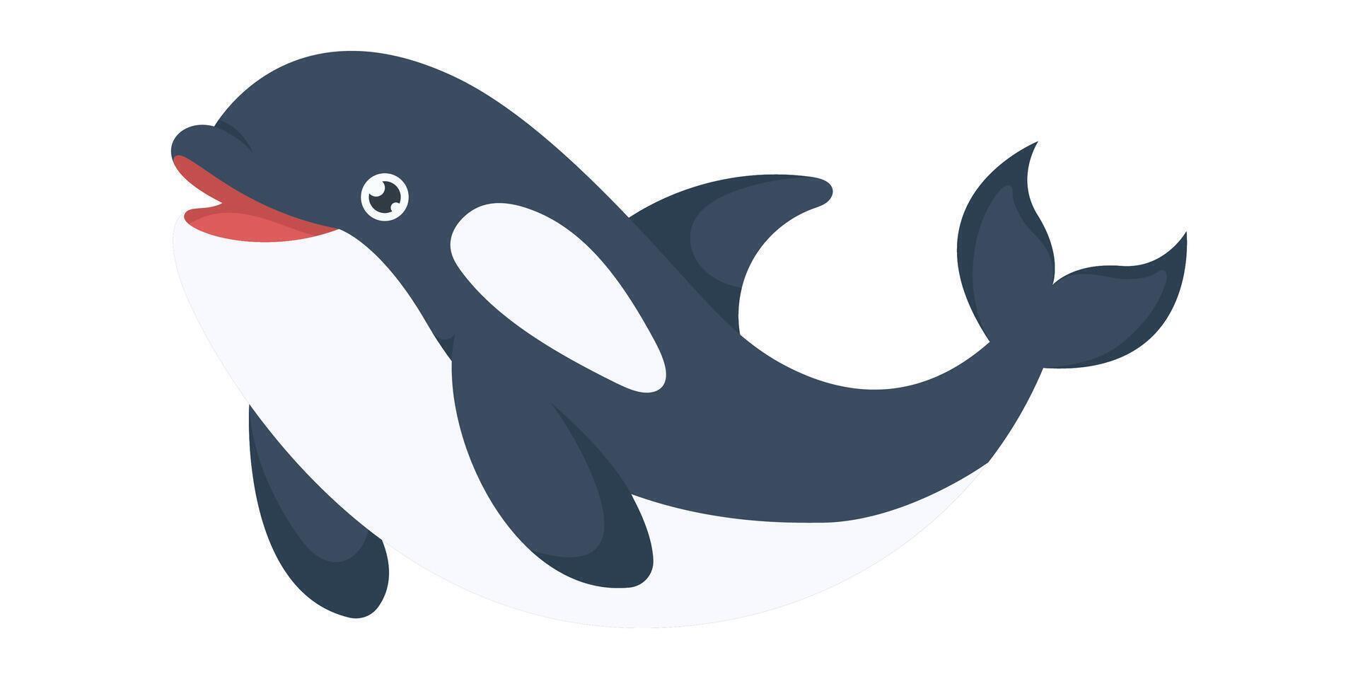Cute killer whale. Isolated on white background, hand drawn vector
