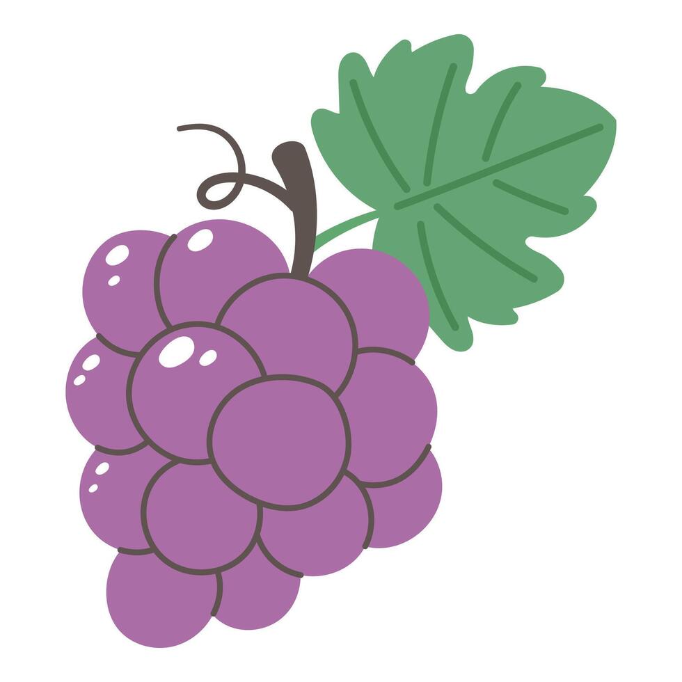 Purple grape cluster with green leaf in flat style. Minimalistic fruit design for interior, poster, banner, sticker, or packaging vector