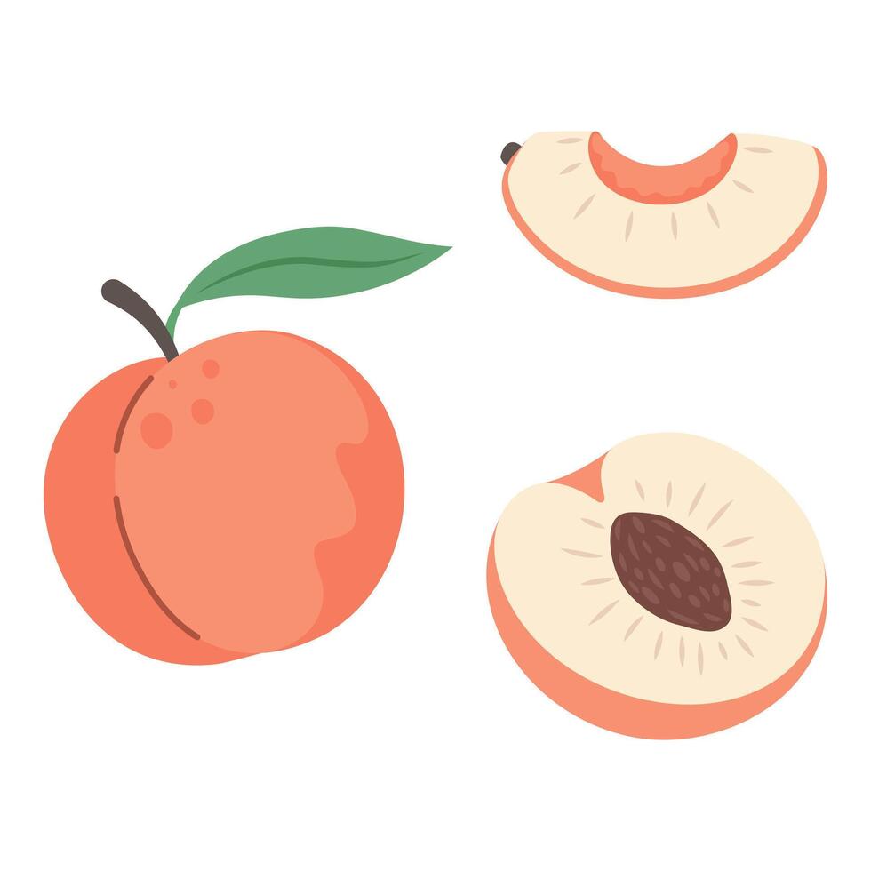 Minimal flat peach fruit collection on white background. Fresh whole, half and sliced peach design for healthy food posters, cards, and prints vector