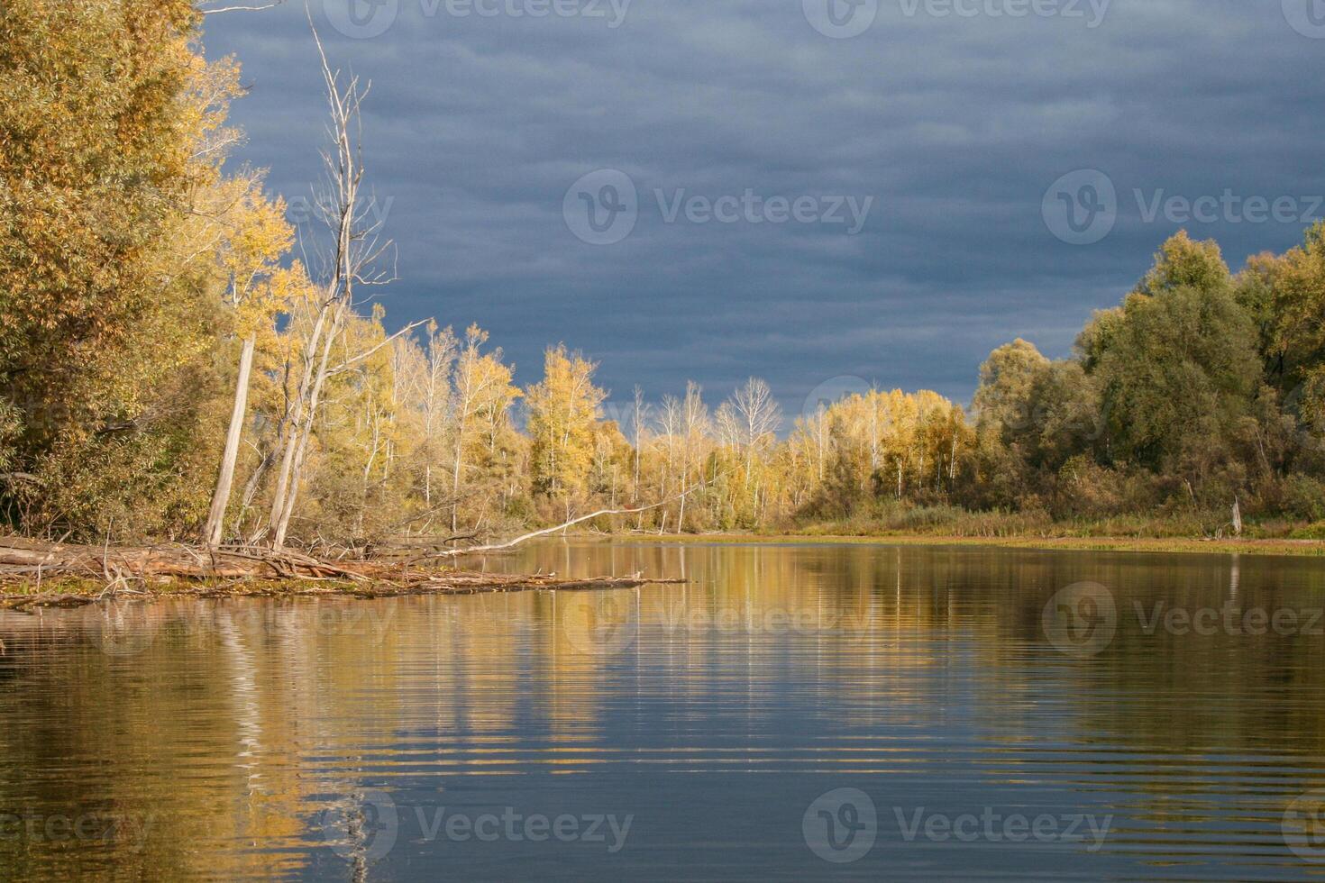 Autumn river landscape with trees and dramatic sky. photo