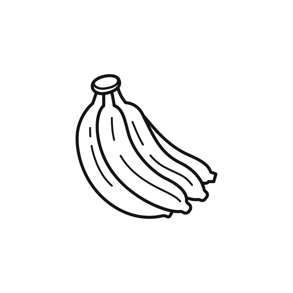 Banana fruit line art style outline illustration png