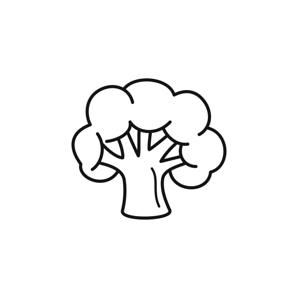 Broccoli icon vegetable outline illustration png