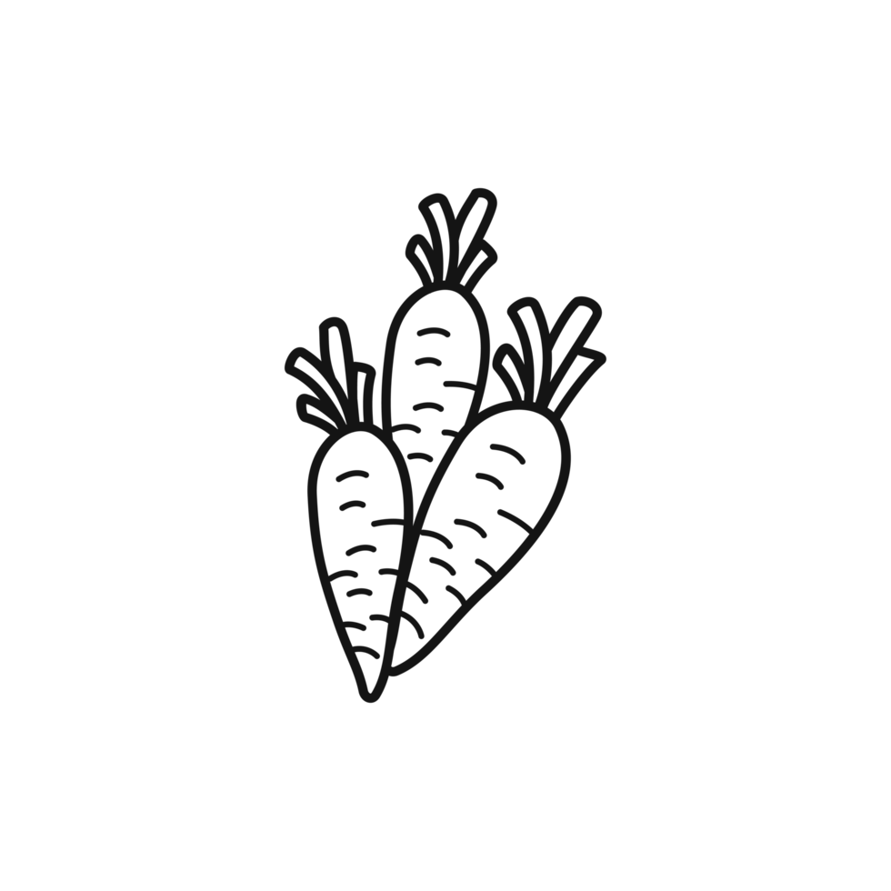Bunch of carrot in monochrome line art style png