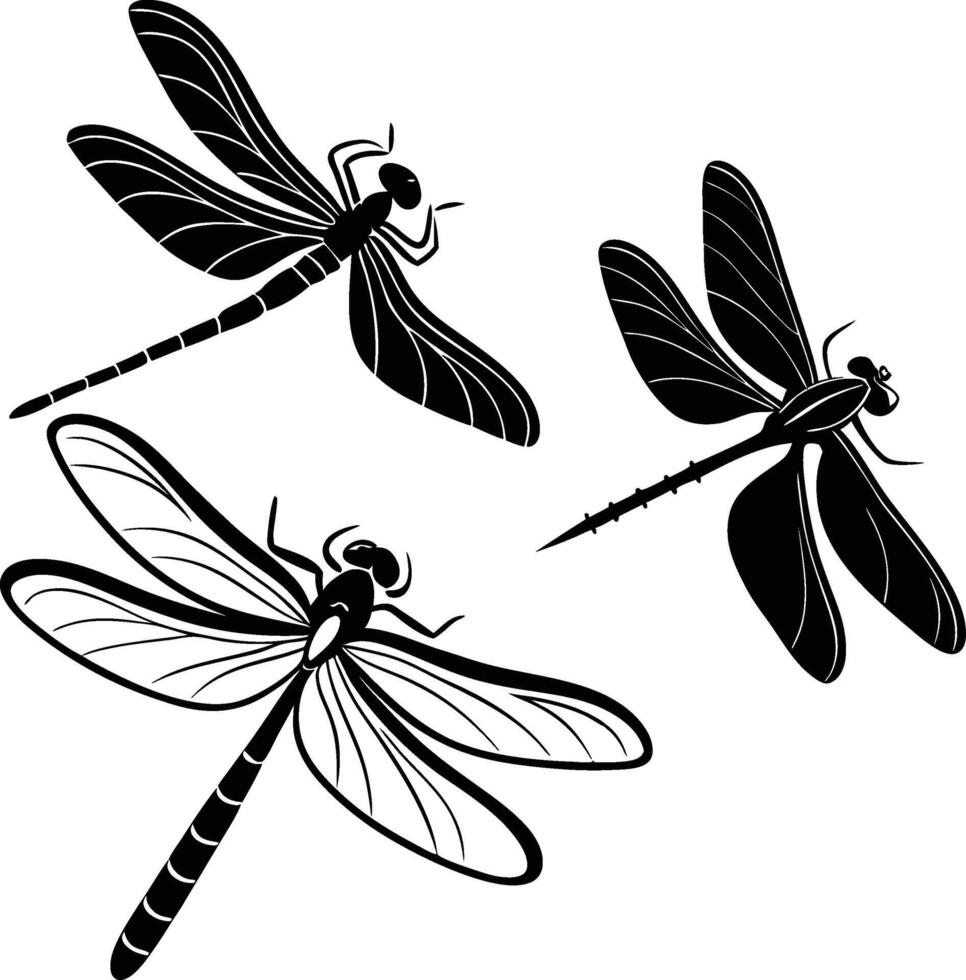 Flying Set Of Silhouette vector
