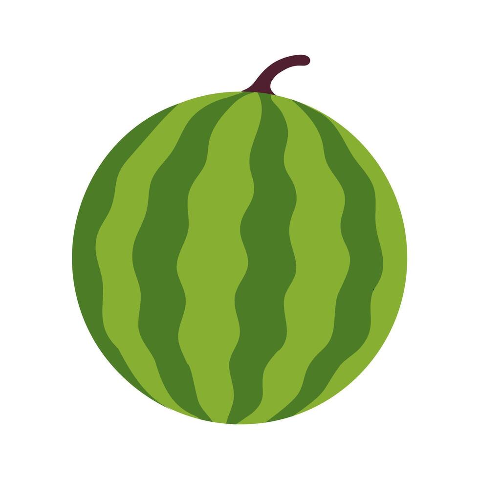 Whole round watermelon with green striped skin and a small stem, isolated flat icon. vector