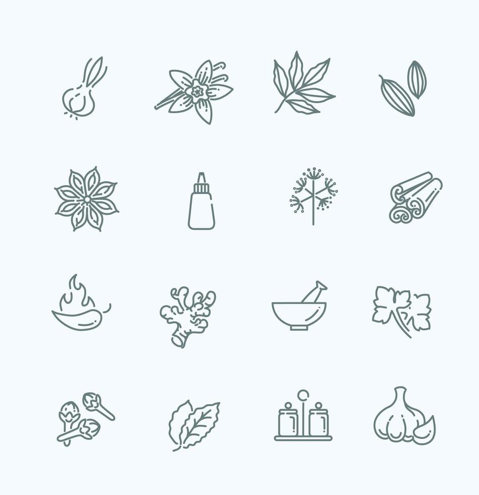 Spices, condiments and herbs vector