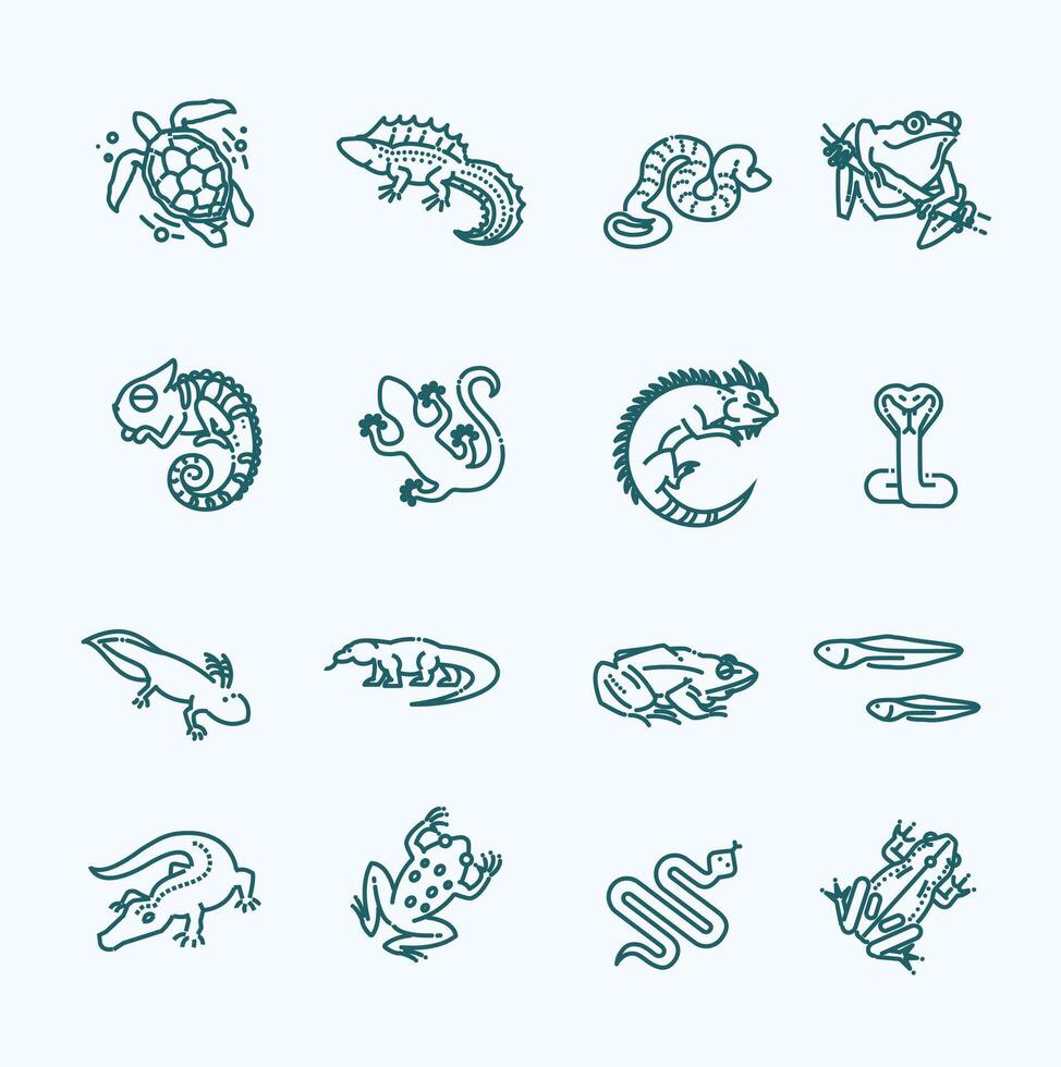Reptiles and amphibians icons set. Line design vector