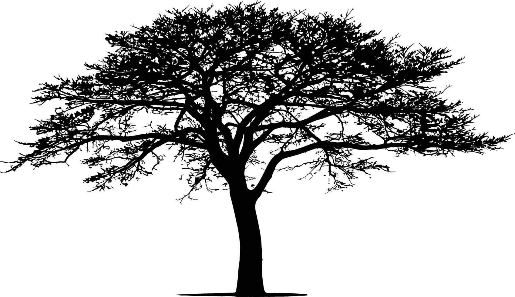 Silhouette of a large deciduous tree vector
