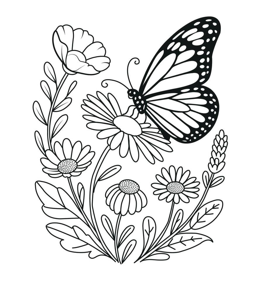 Beautiful Butterfly and Daisy Flowers outline illustration drawing vector